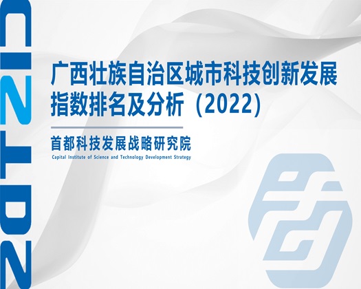 美女日B网站【成果发布】广西壮族自治区城市科技创新发展指数排名及分析（2022）